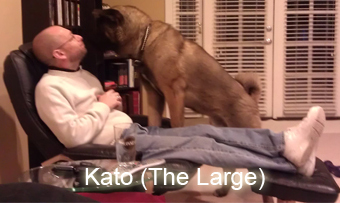 Barry F. Vaughan and Kato, The Large