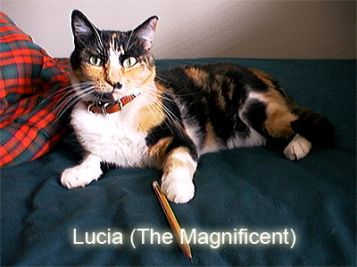 Lucia, the Magnificent