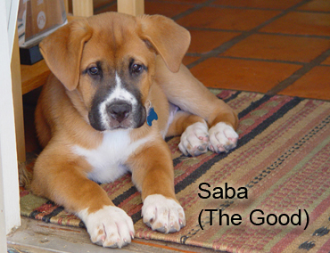 Sabastiana, The Good